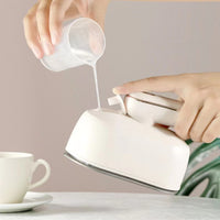 Household Steamer Dry Iron Rotation